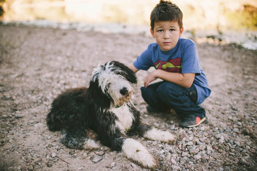 dirty dog by demandaj dirty boy photo