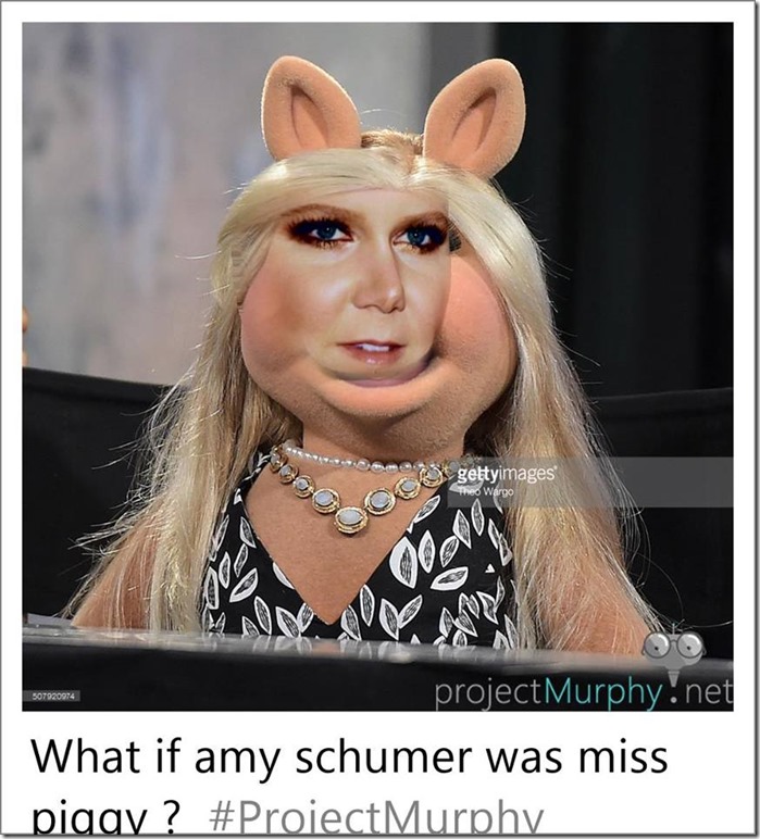 15555111_1342909419106959_694449218_n