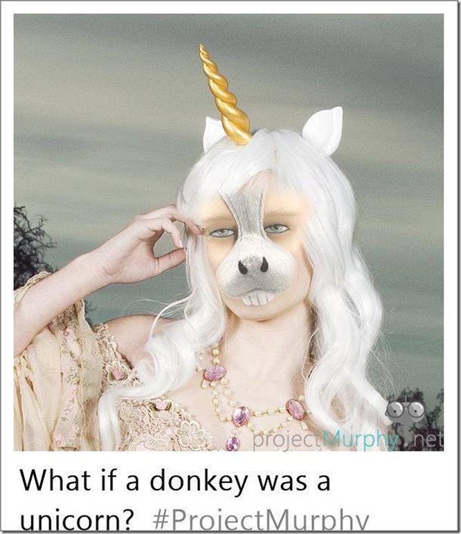 15577459_1344731642258070_1072340024_n