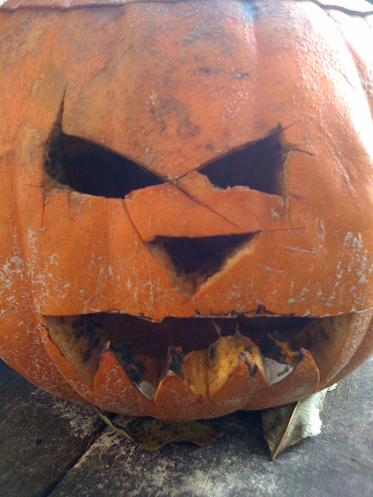 4121055861_3333dcf488_b_pumpkin-head