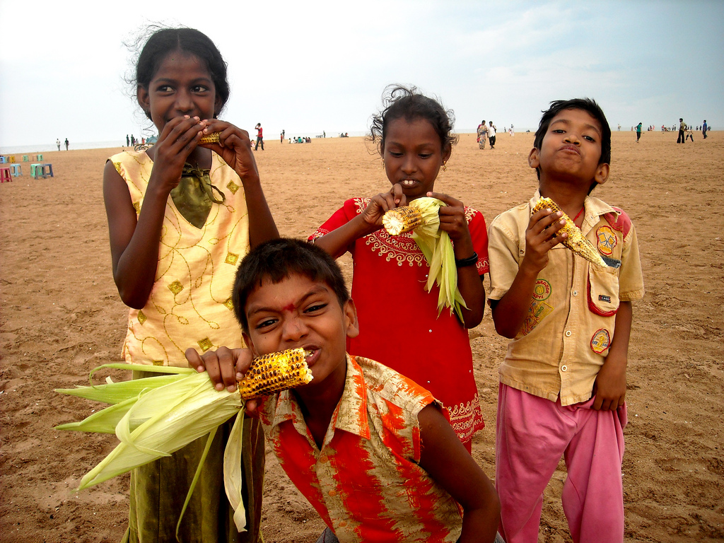 AID India - DVD Shoot - Day 13 - Marina Beach 07 by Sistak corn cob photo