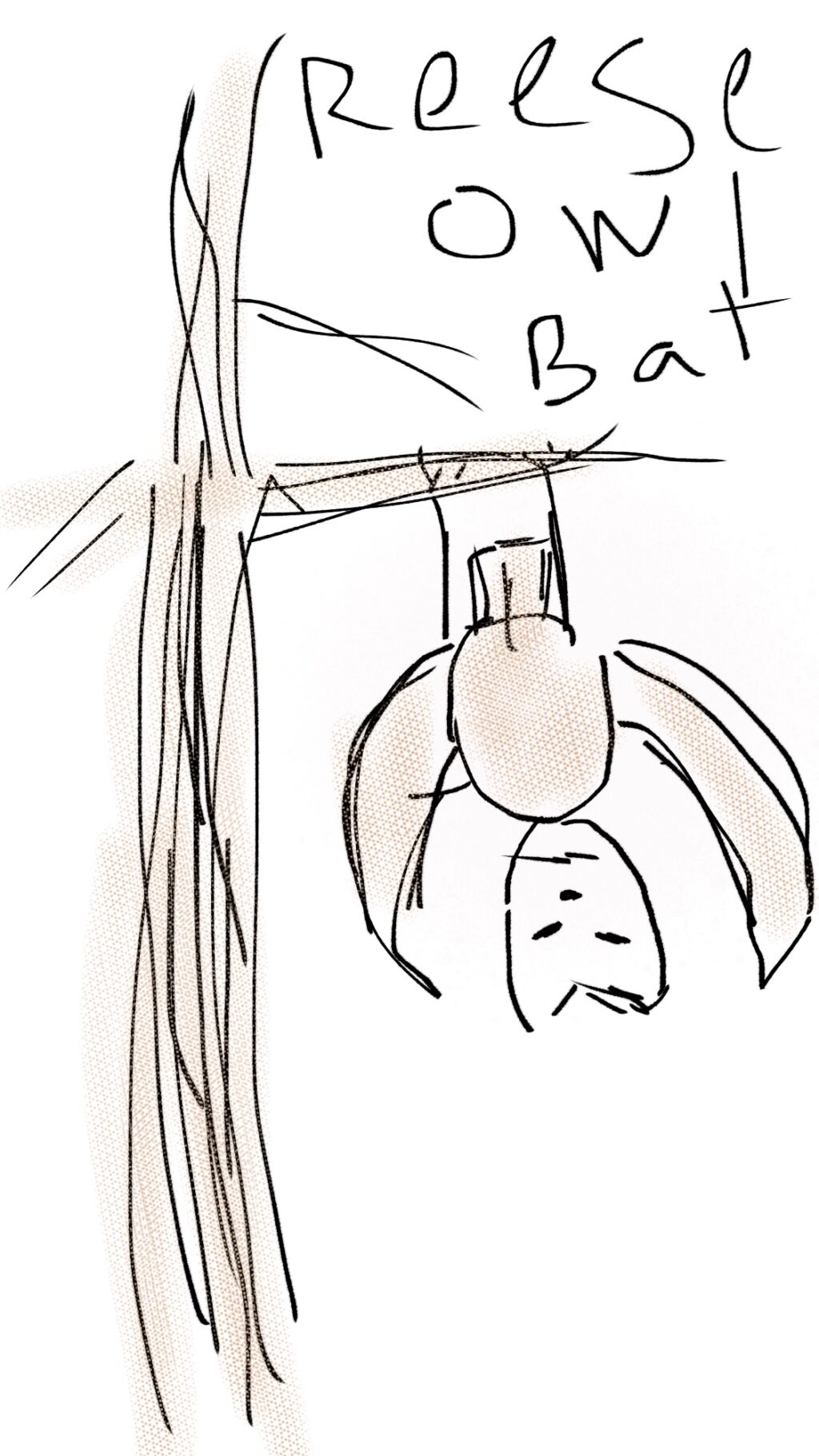 Defense Mechanisms of the Reese Owl Bat