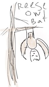 Defense Mechanisms of the Reese Owl Bat