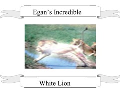 Egan's Incredible White Lion