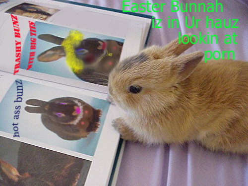 bunnah-porn