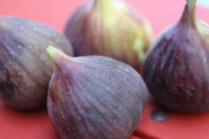 Figs
