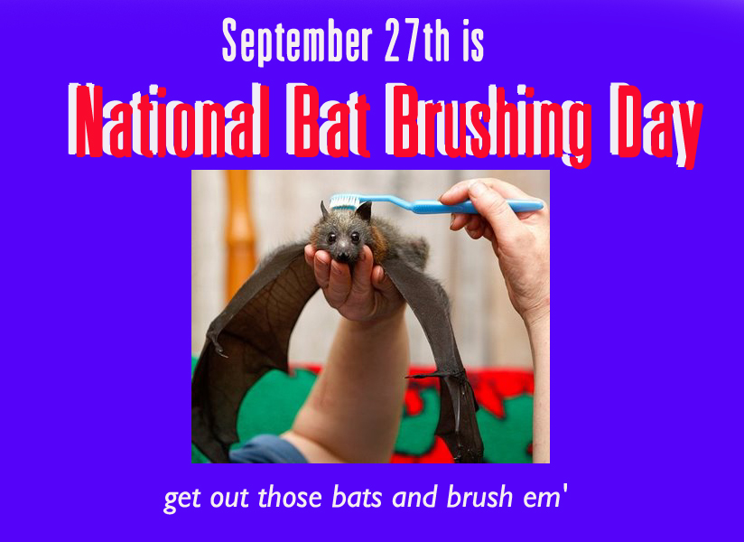 national bat brushing day